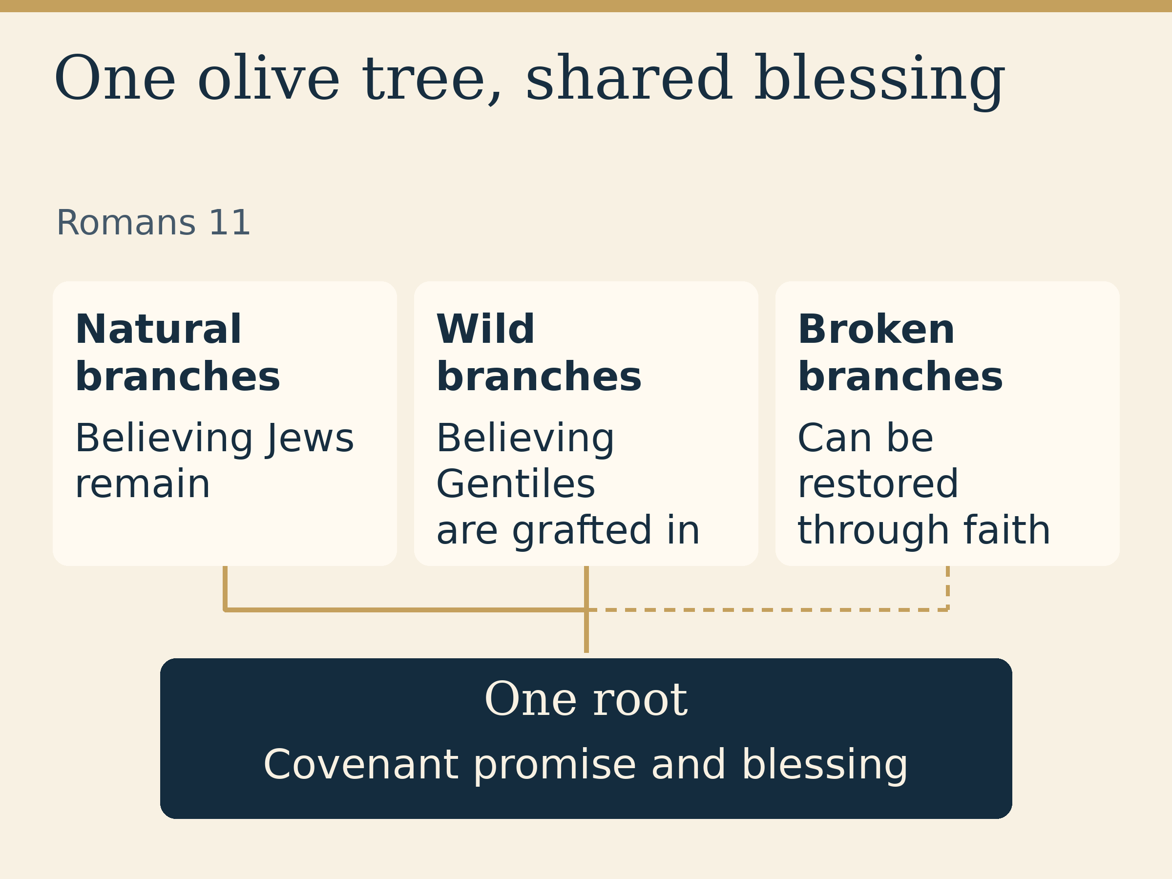 One olive tree, shared blessing. Romans 11. Natural branches: Believing Jews remain. Wild branches: Believing Gentiles are grafted in. Broken branches: Can be restored through faith. One root: Covenant promise and blessing.
